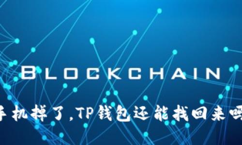 手机掉了，TP钱包还能找回来吗？