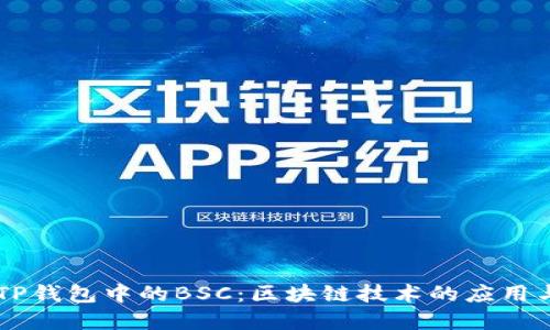 了解TP钱包中的BSC：区块链技术的应用与发展