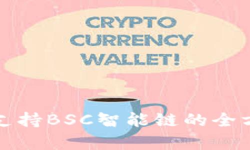 TP钱包支持BSC智能链的全方位解析