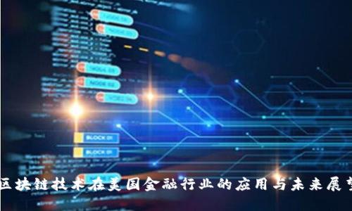 区块链技术在美国金融行业的应用与未来展望