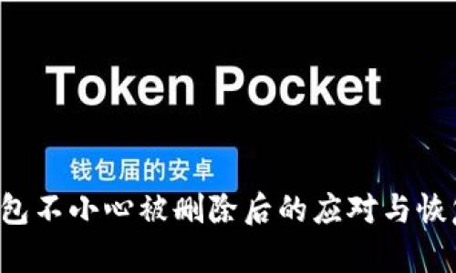  TP钱包不小心被删除后的应对与恢复指南