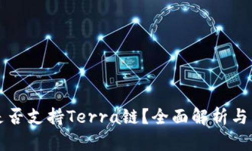 TP钱包是否支持Terra链？全面解析与用户指南