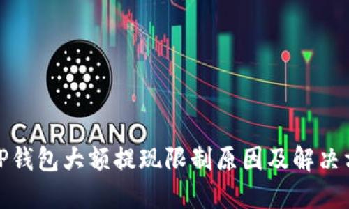 : TP钱包大额提现限制原因及解决方案