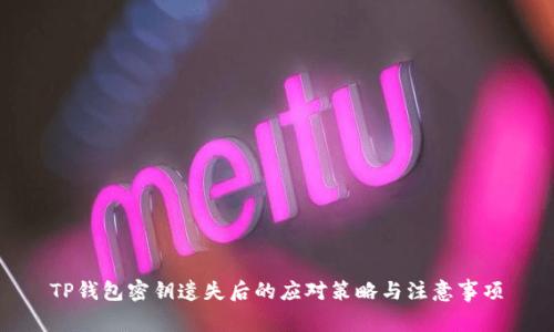 TP钱包密钥遗失后的应对策略与注意事项
