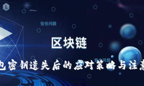 TP钱包密钥遗失后的应对策略与注意事项