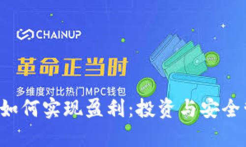  TP钱包如何实现盈利：投资与安全管理并重