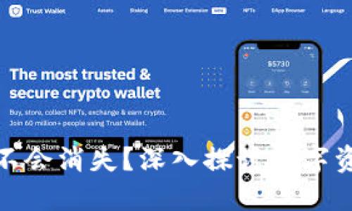 TP钱包里的资产会不会消失？深入探讨数字资产的安全性与风险