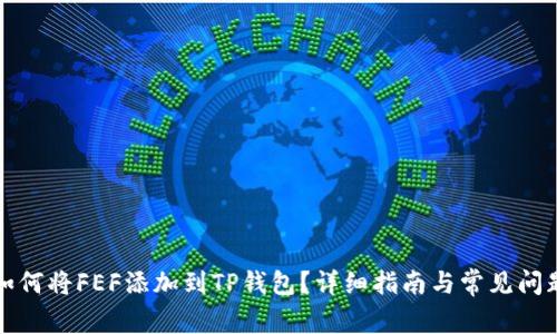 如何将FEF添加到TP钱包？详细指南与常见问题