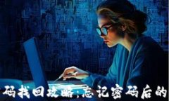 TP钱包密码找回攻略：忘记密码后的应对措施