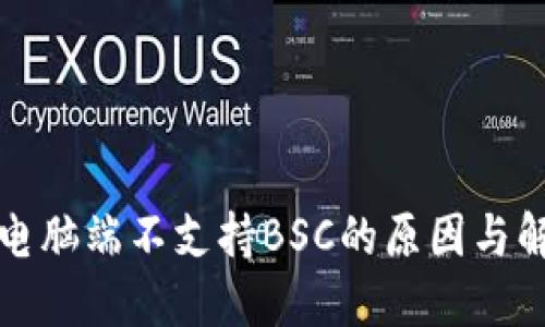 TP钱包电脑端不支持BSC的原因与解决方案