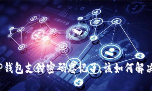 TP钱包支付密码忘记了，该如何解决？