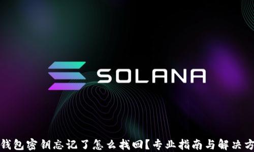 
TP钱包密钥忘记了怎么找回？专业指南与解决方案