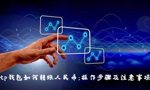 tp钱包如何转账人民币：操作步骤及注意事项