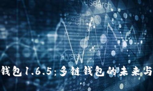 : TP钱包1.6.5：多链钱包的未来与机遇