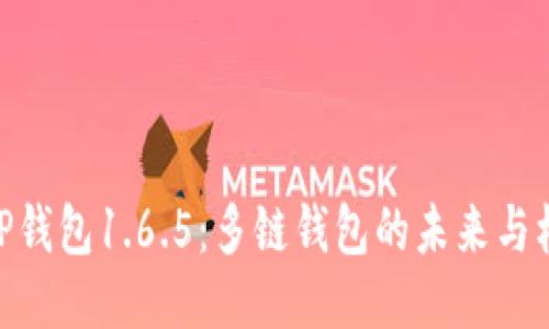: TP钱包1.6.5：多链钱包的未来与机遇