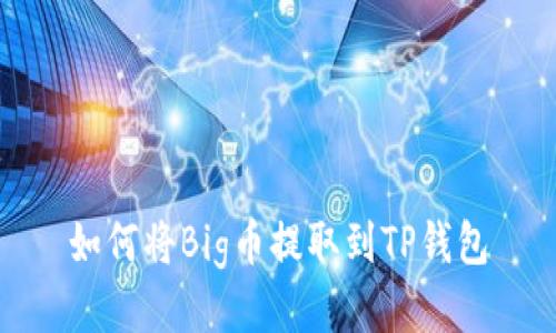 如何将Big币提取到TP钱包