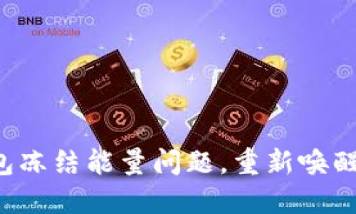 如何解决TP钱包冻结能量问题，重新唤醒你的数字资产！