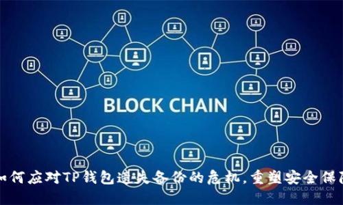 如何应对TP钱包遗失备份的危机，重塑安全保障