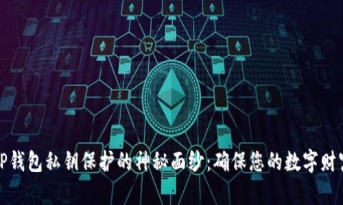 揭开TP钱包私钥保护的神秘面纱：确保您的数字财富安全