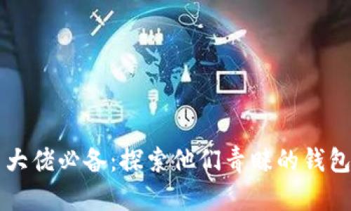 币圈大佬必备：探索他们青睐的钱包选择